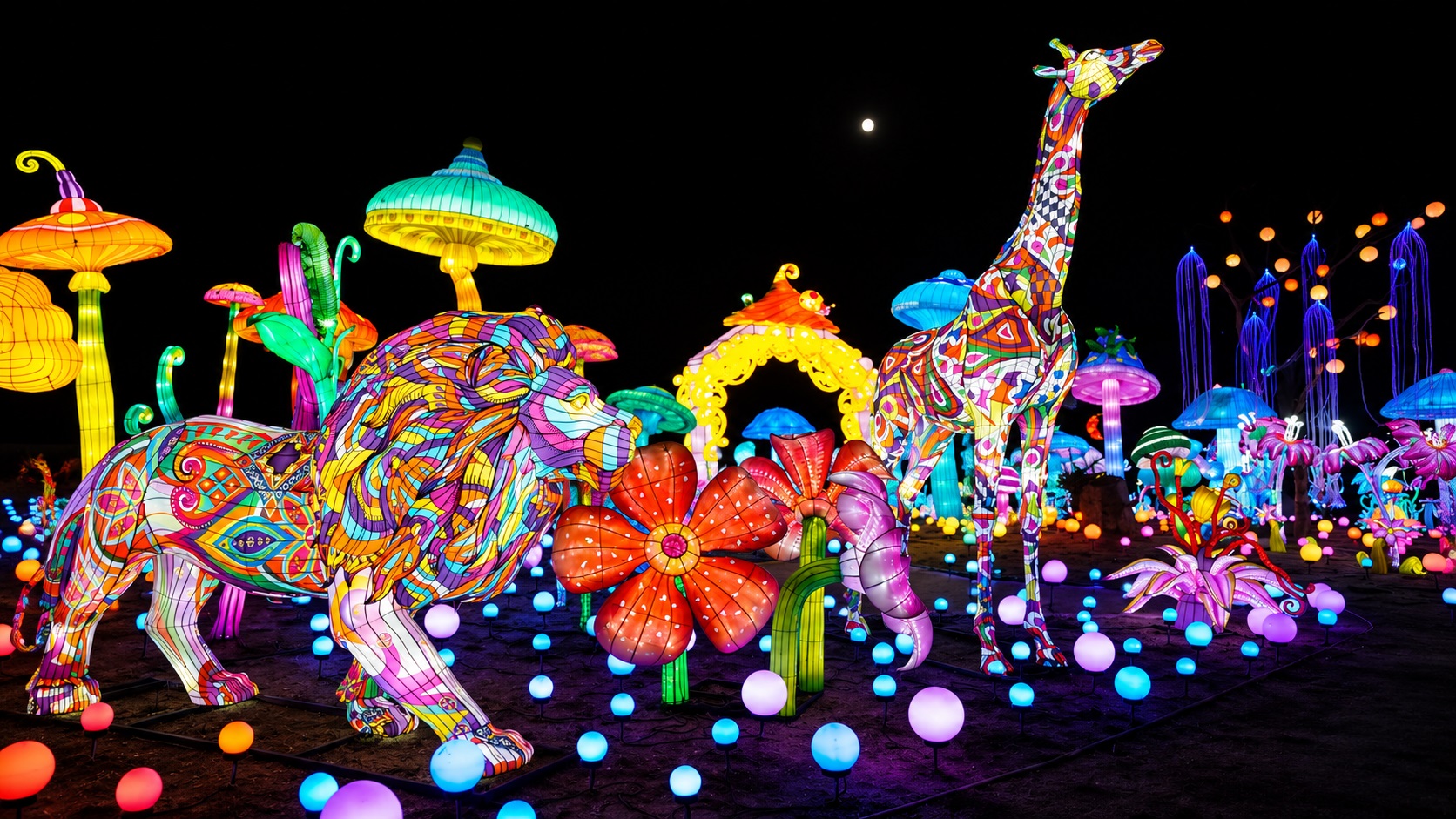 Festival Luminescences au Zoo d’Amnéville